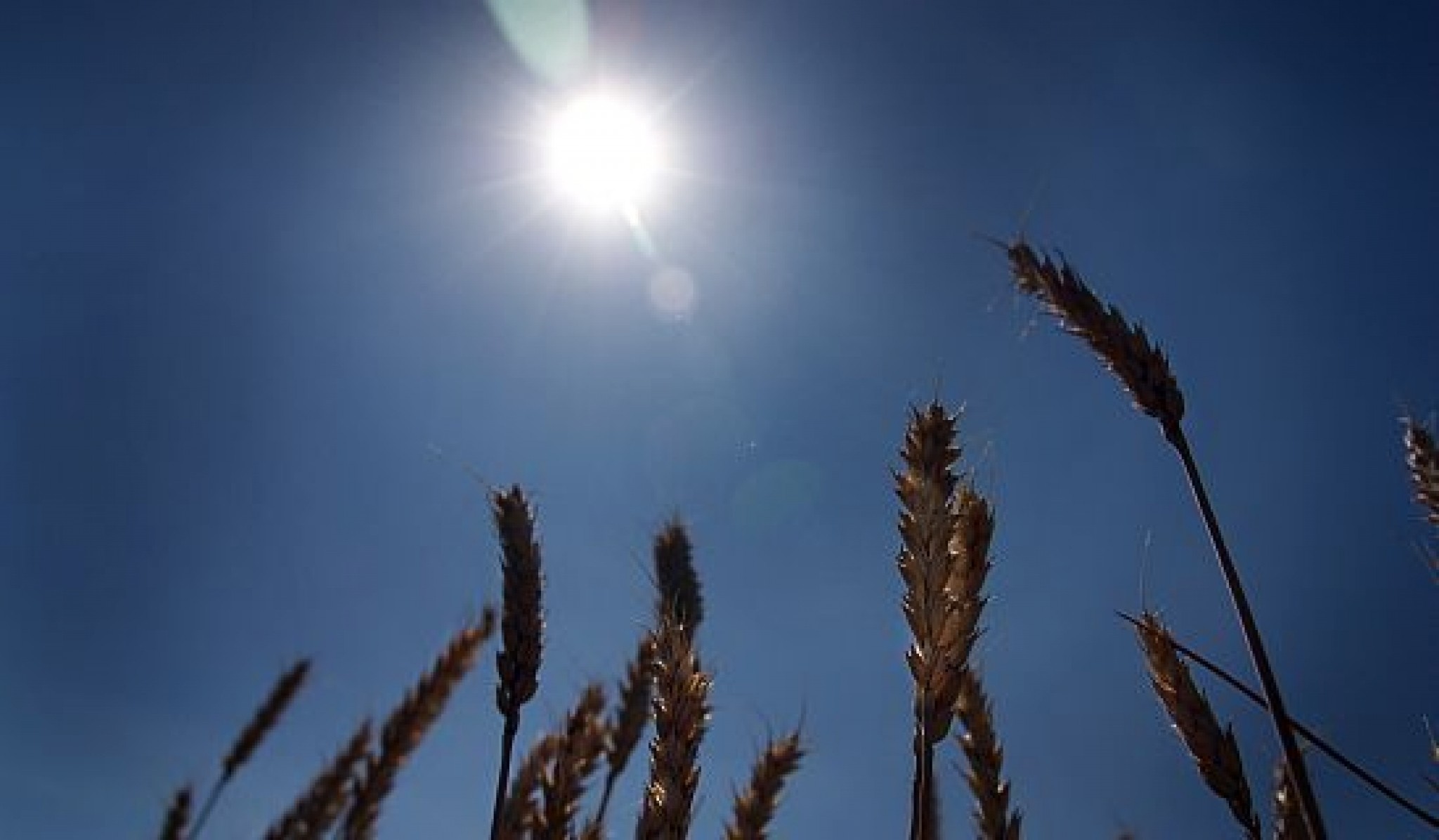 Bijušā Valkas rajona lauksaimnieki iziet “plašākos ūdeņos”