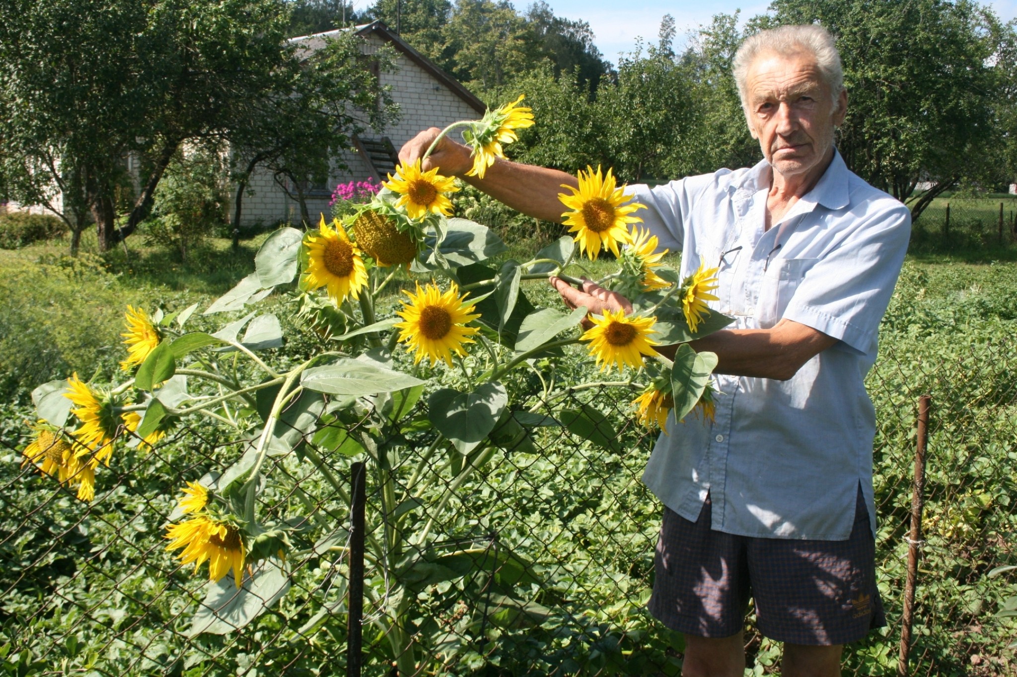 Puķe, ko var saukt par brīnumu