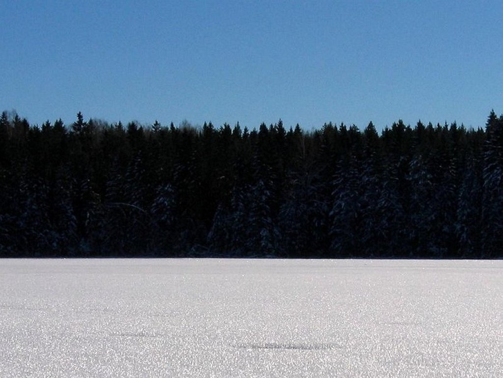 Igaunijas uzņēmēji ir optimistiskāki par Baltijas kolēģiem