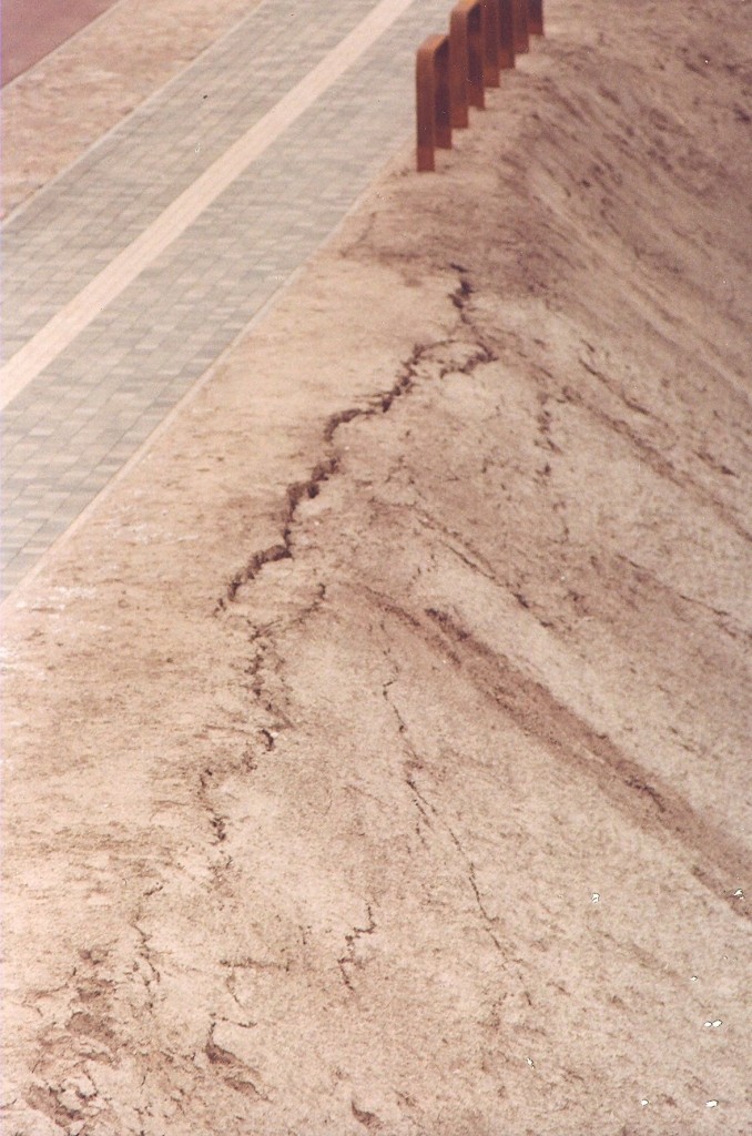 Sešarpus miljonu promenāde Jelgavā jau gaida meistaru