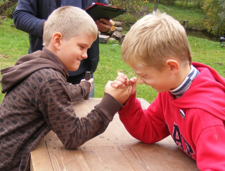 Svinēs tradicionālos Vijciema muižas svētkus
