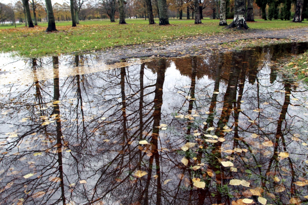 Svētdiena būs saulaina