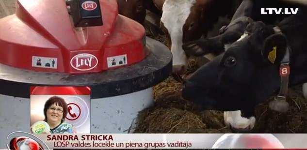 Telefonintervija ar blomēnieti Sandru Stricku