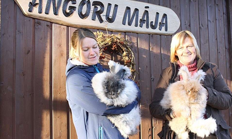 Rīko trušu audzētāju dienu- semināru Vidzemē