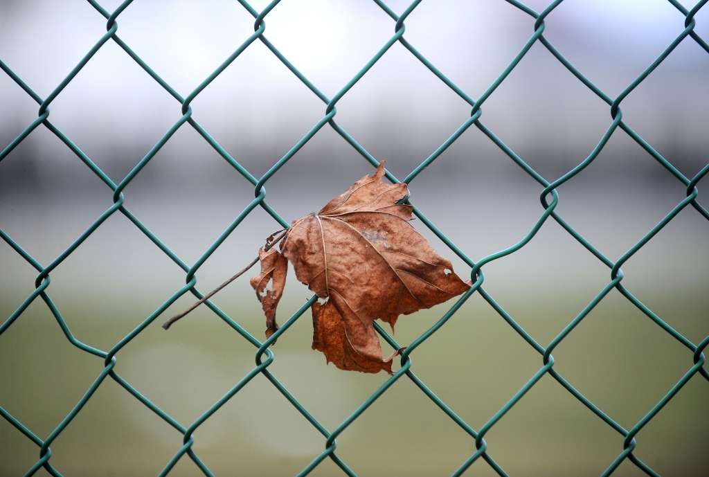 Piektdien augstākā gaisa temperatūra gaidāma Kurzemē