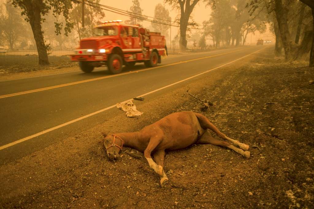 FOTO: Kalifornijā mežu ugunsgrēku dēļ izsludina ārkārtas stāvokli
