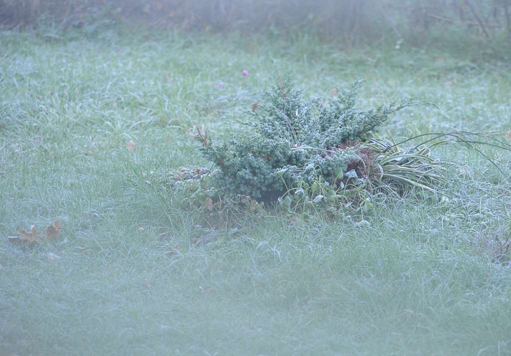 Brīvdienās gaisa temperatūra nebūs augstāka par +8 grādiem