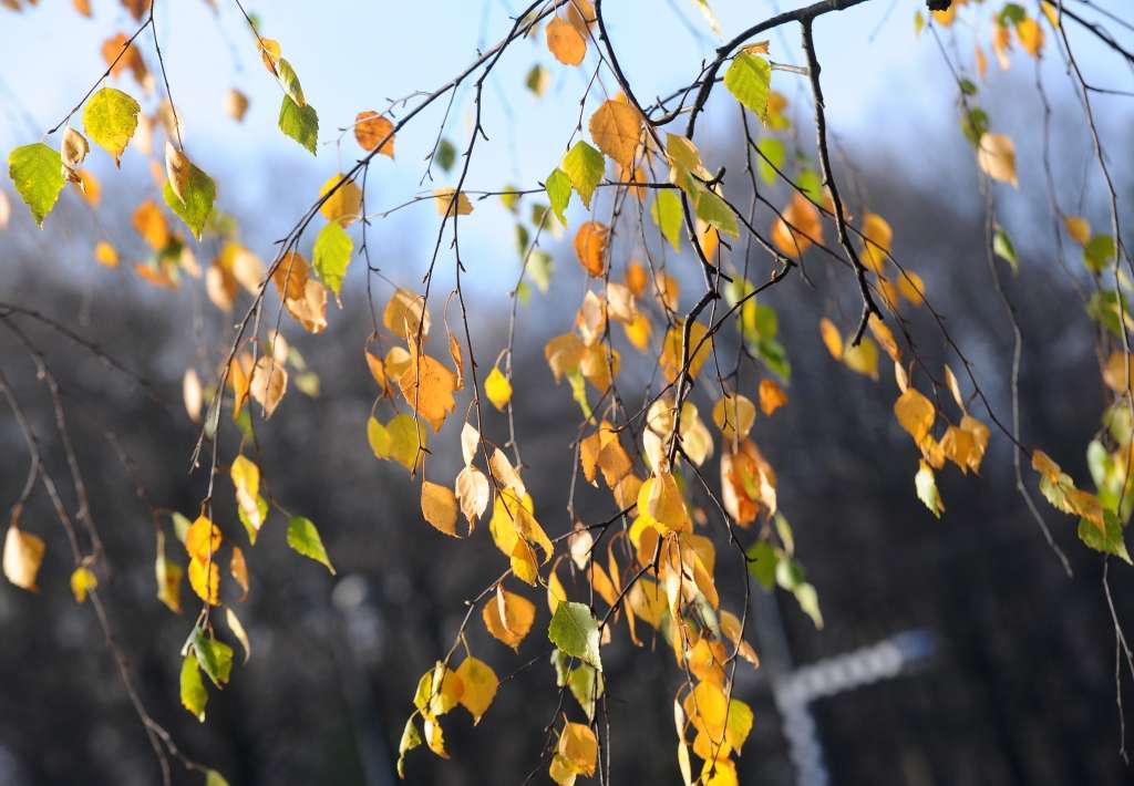 Oktobrī saules spīdēšanas biežums sasniedzis 152% no normas
