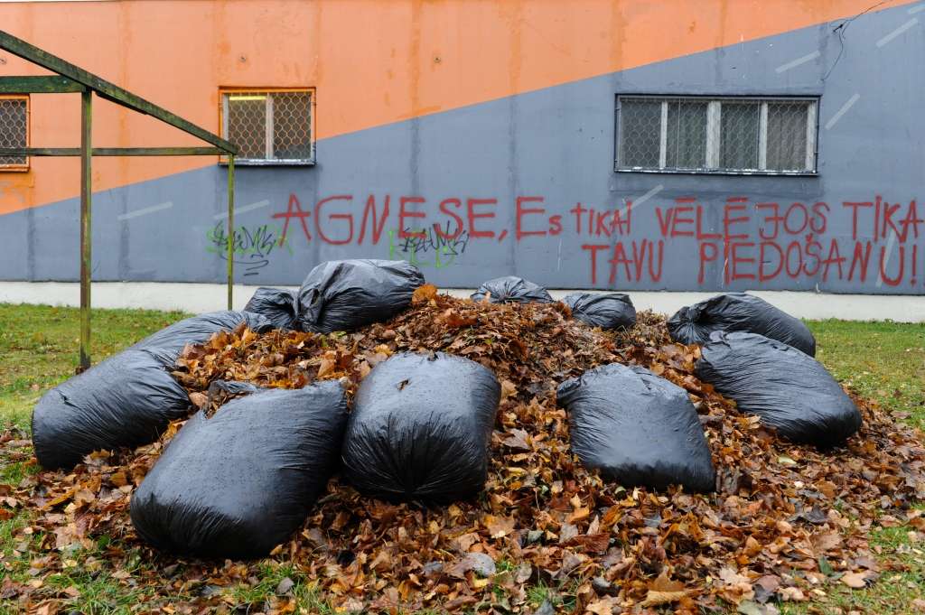 Koku lapas daudzviet dedzināt aizliedz - tās var likvidēt par samaksu