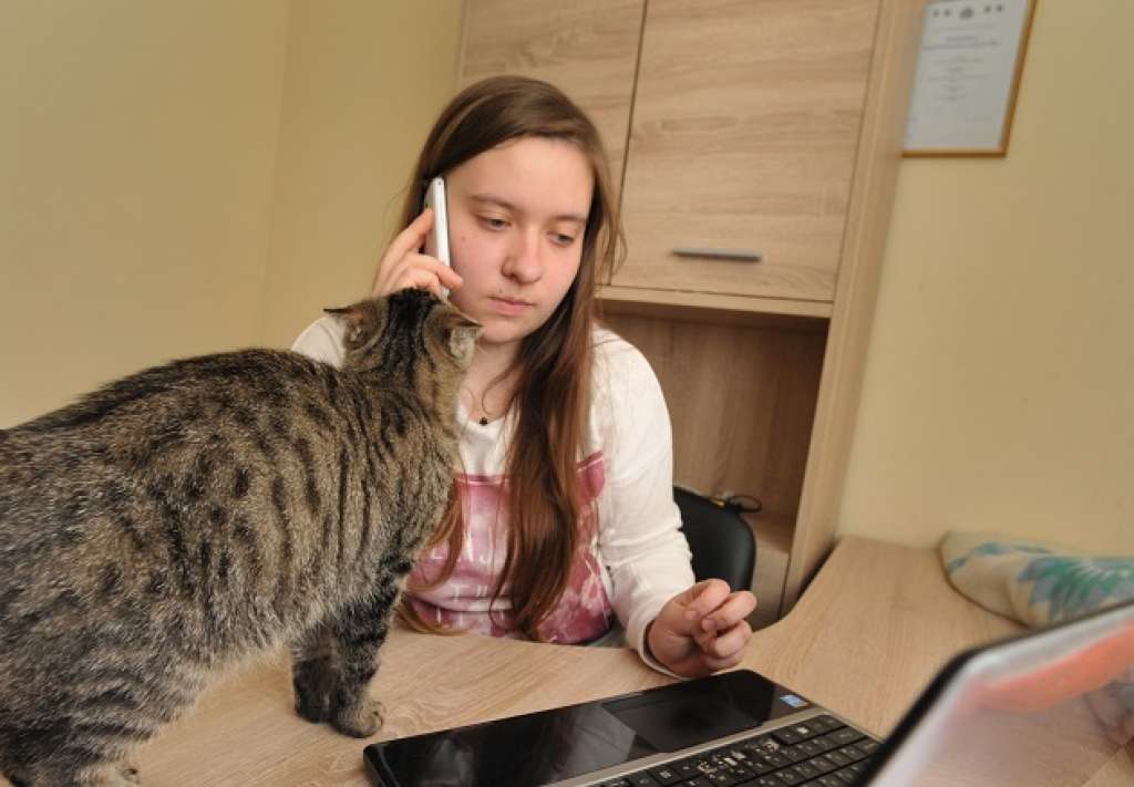 Latvijas lepnuma stāsts: Kurzemē izglābusi 400 kaķus