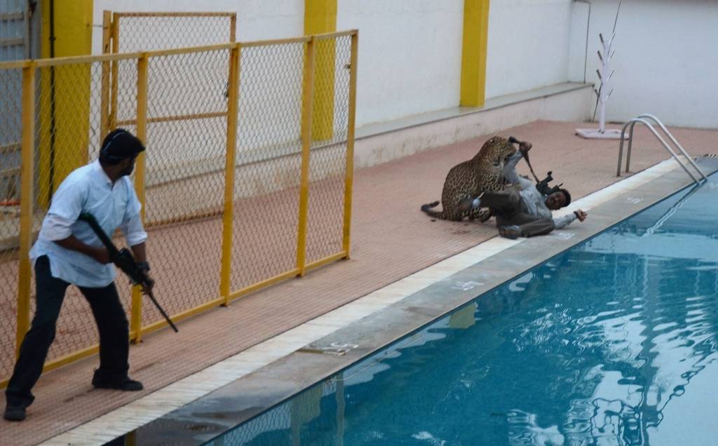 VIDEO: Indijā skolas teritorijā ieklīdis leopards ievaino sešus cilvēkus