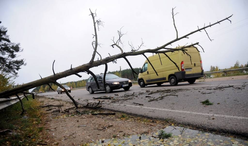 Prasa kompensēt auto nodarītus bojājumus pēc koka uzkrišanas