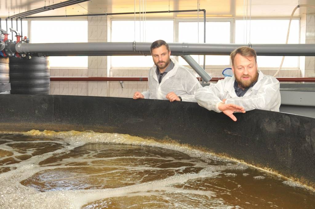 Latvieši iedarbinājuši garneļu lavīnu