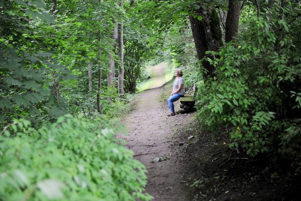 Upīša un upīšu raksti Daugavas ielejā Skrīveros