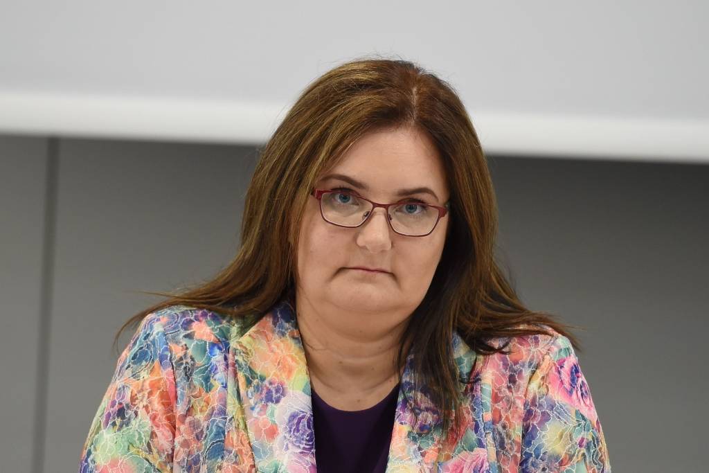 Pelēkā: Atsevišķas personas uz VID pretimnākšanu reaģē ar «smiešanos sejā»
