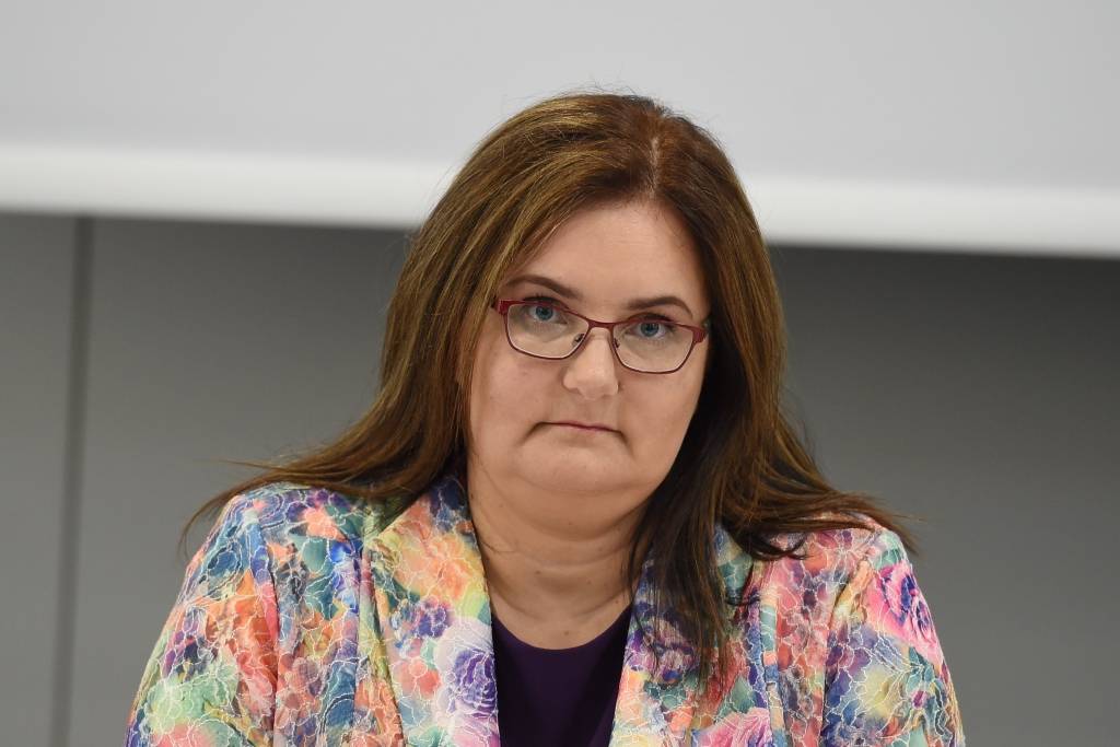Pelēkā: Jaunajam VID vadītājam jābūt iedvesmojošam līderim
