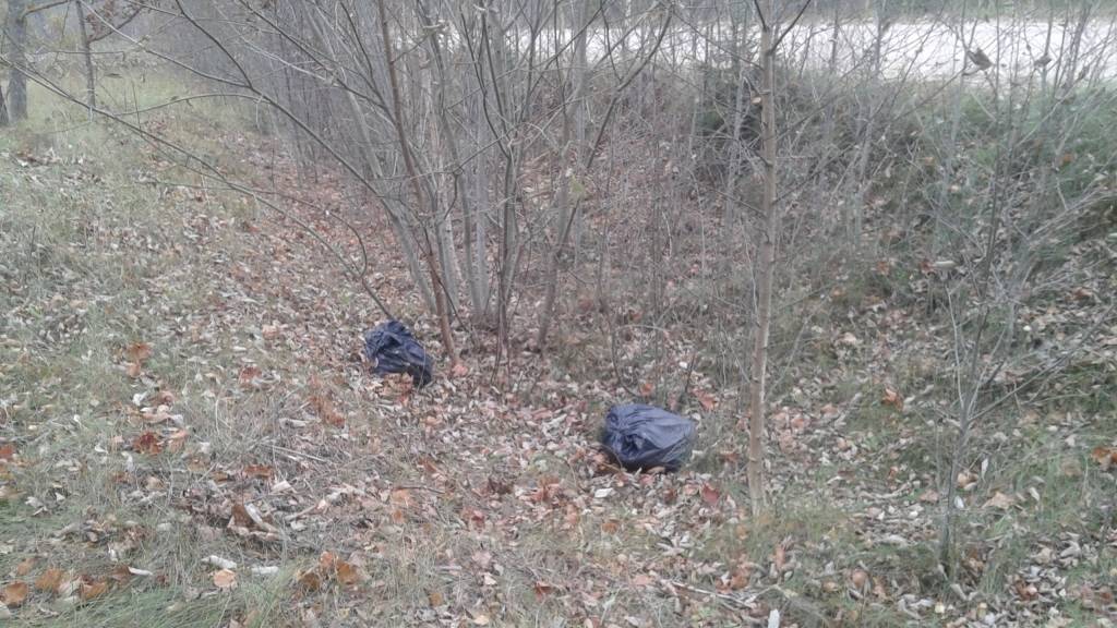 Palīdzēsim atrast mēslotāju! (Papildināts - privātīpašumu piemēsloja valmierieši!)
