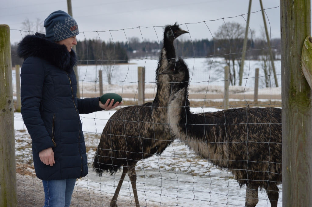 “Ezerleju” emu pāris saimniekiem sagādā pārsteigumu