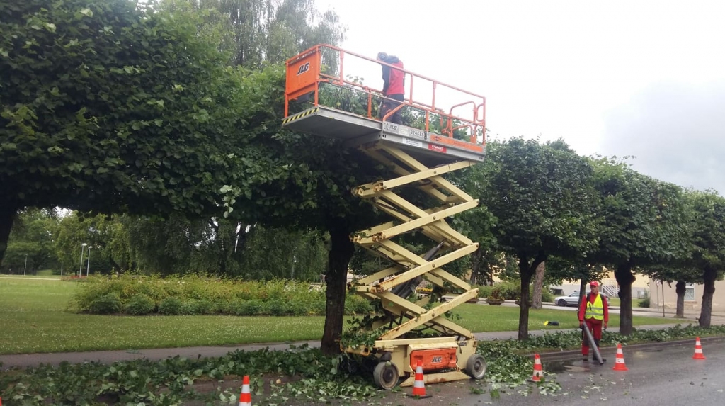 “Frizē” liepas un cīnās ar strauji augošo zāli