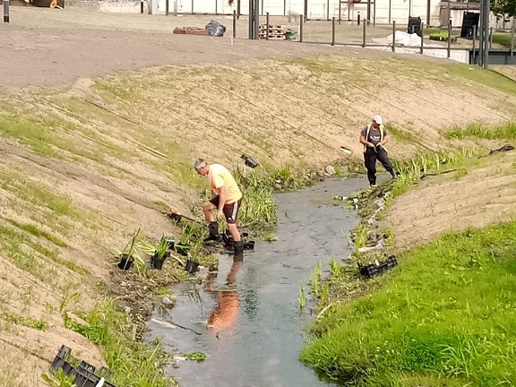 Sākušies apzaļumošanas darbi