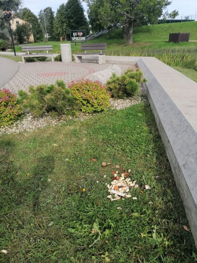 Publiskai vietai tas neder