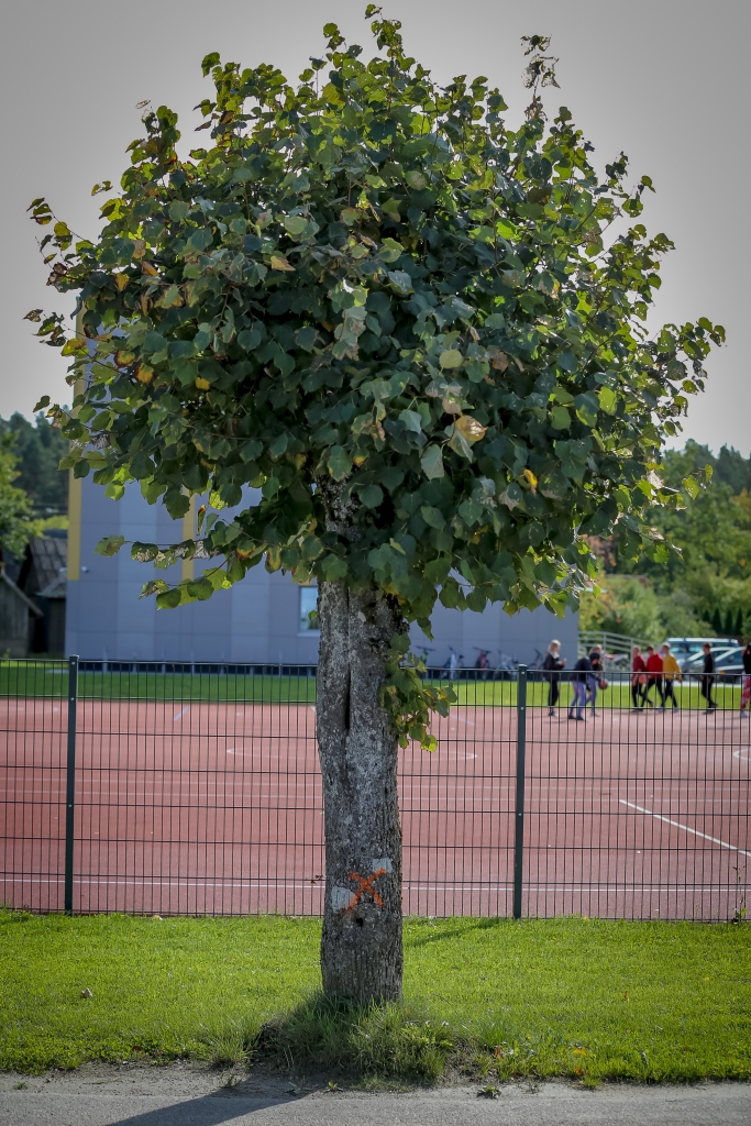 Sāksies gadiem gaidītā Dakteru ielas pārbūve