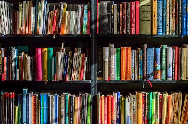 Valkas bibliotēka iepazīstina ar jaunajām grāmatām
