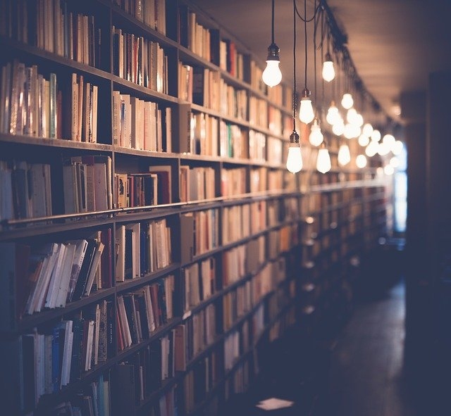 Smiltenes novada bibliotēkās pieejami vērtīgo grāmatu iepirkuma izdevumi
