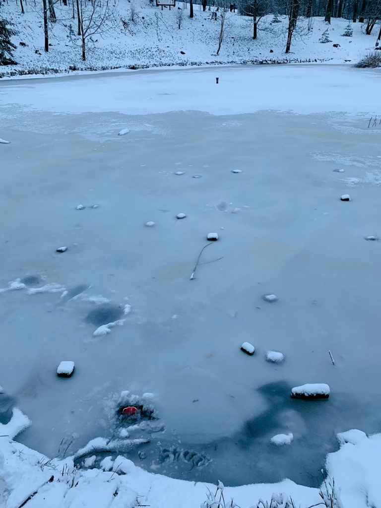 Gadu mijā izpostīta Vecā parka lapene