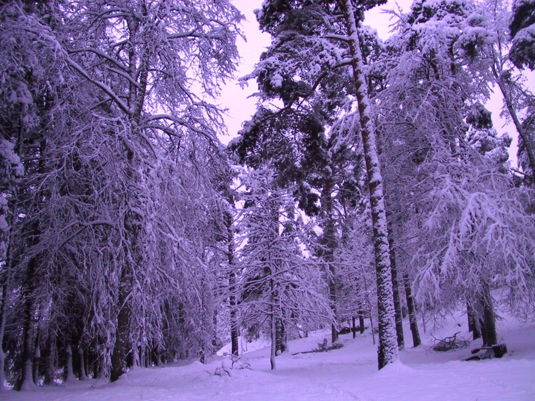 Gada pēdējā nedēļā Latvijā saglabāsies ziemai raksturīgi laika apstākļi