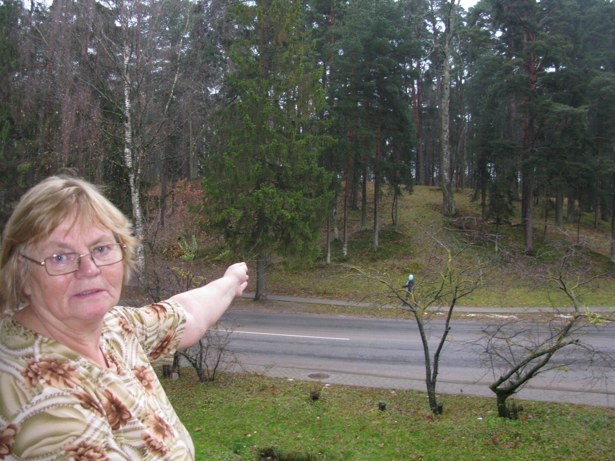 Smilteniete pa logu nevar mierīgi noskatīties uz nokaltušu koku