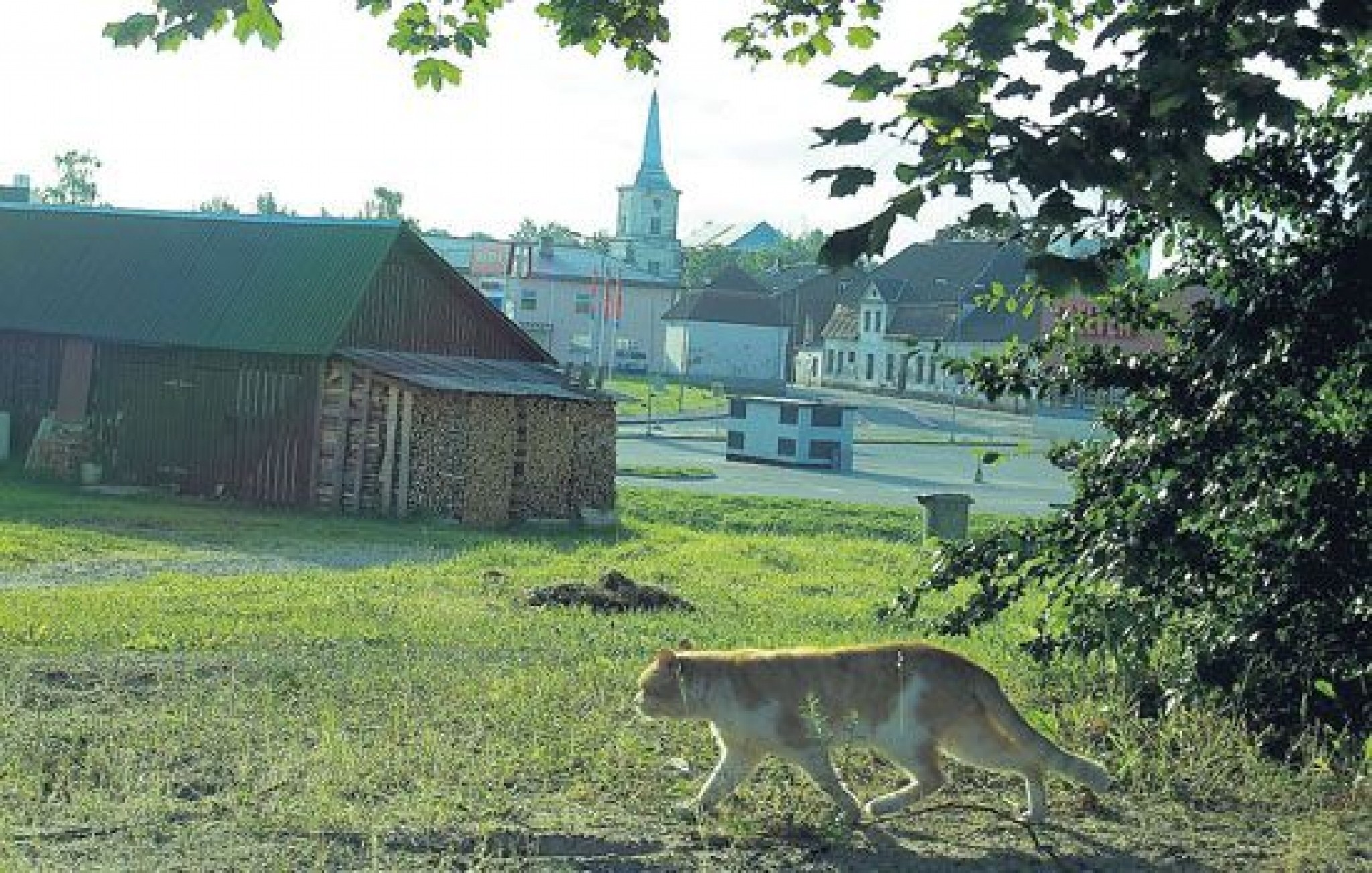 "Diena" raksta: Abpus Varžupītei