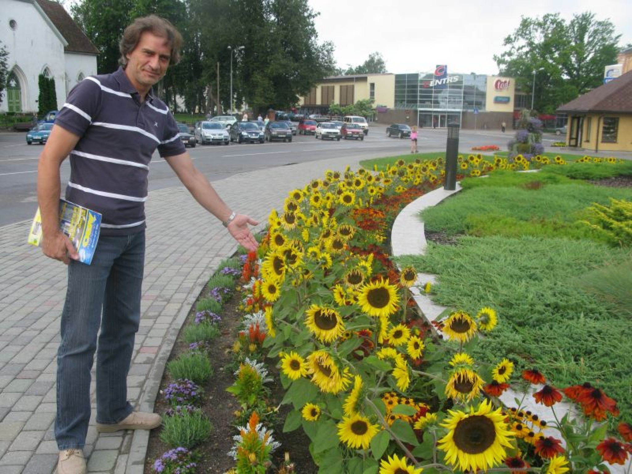 Smiltenes centra skvēra apstādījumos pirmo reizi aug saulespuķes