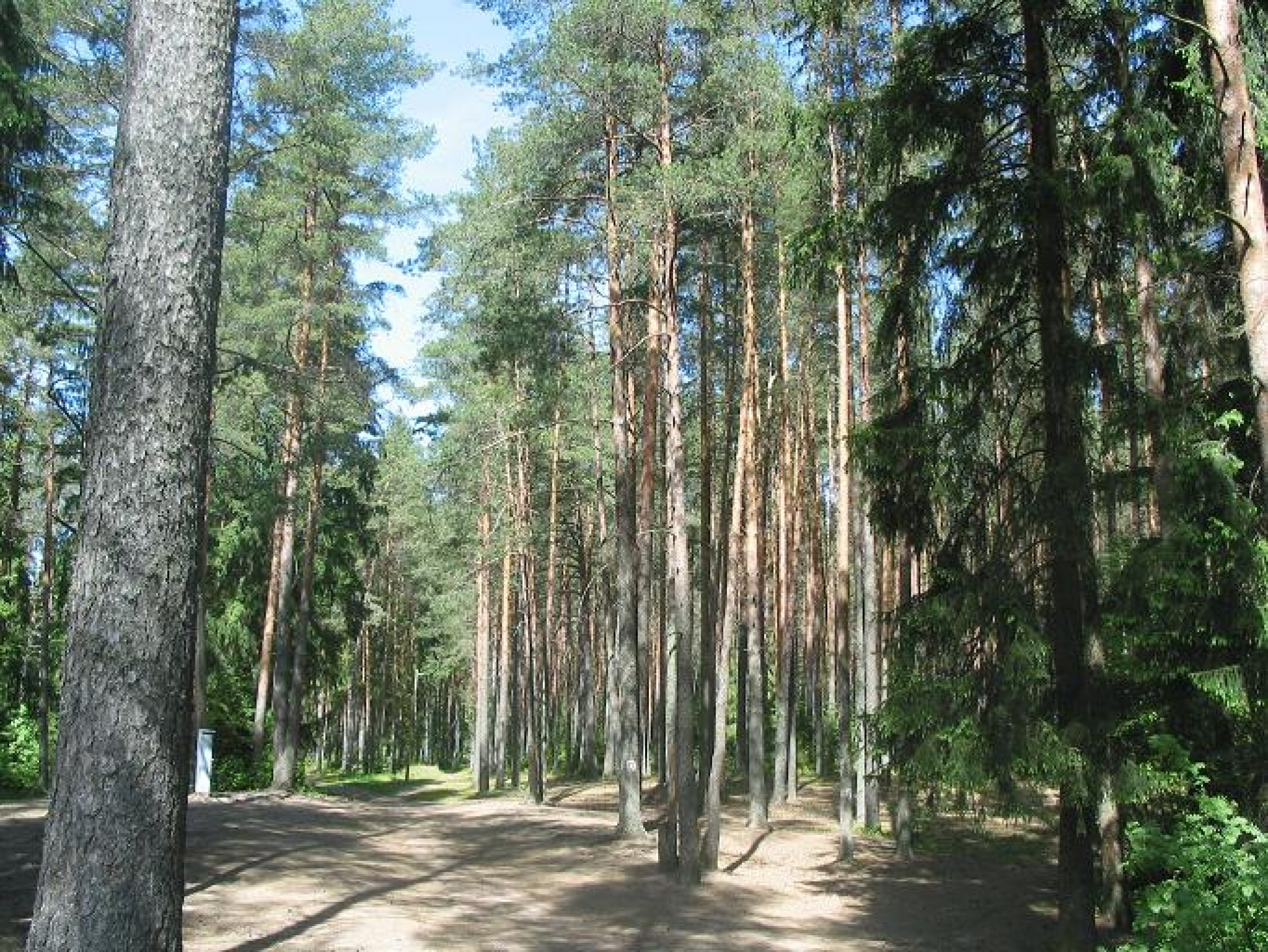 Fotoreportāža: Tūrisma ceļvedis pa Valkas atpūtas takām.