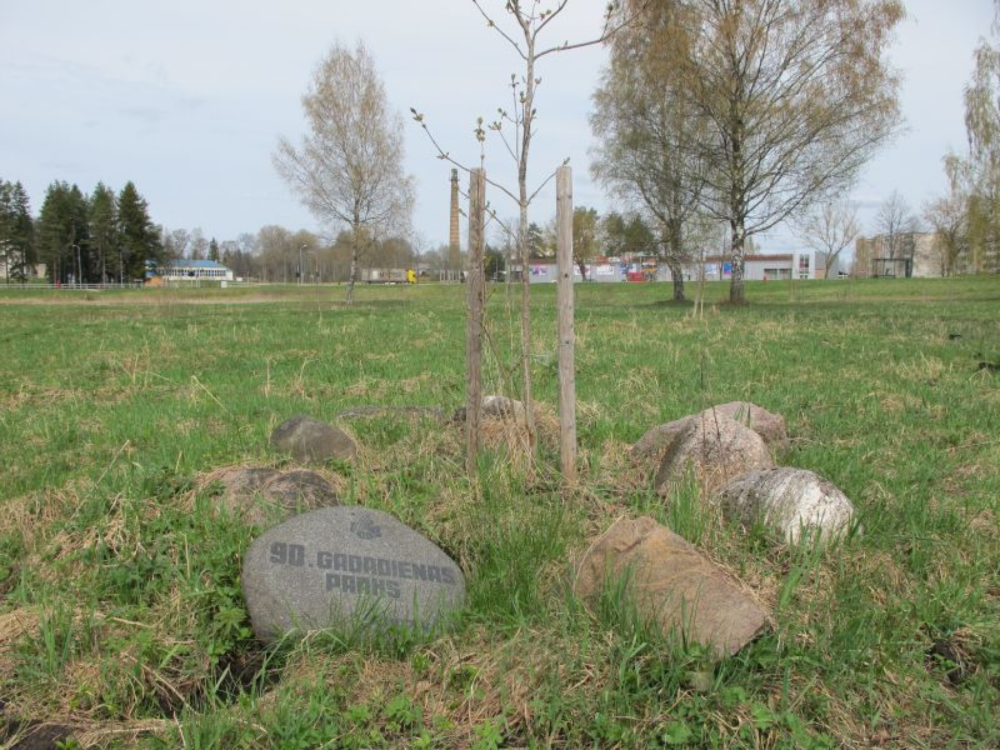 Darvas karote var sabojāt veselu medus mucu