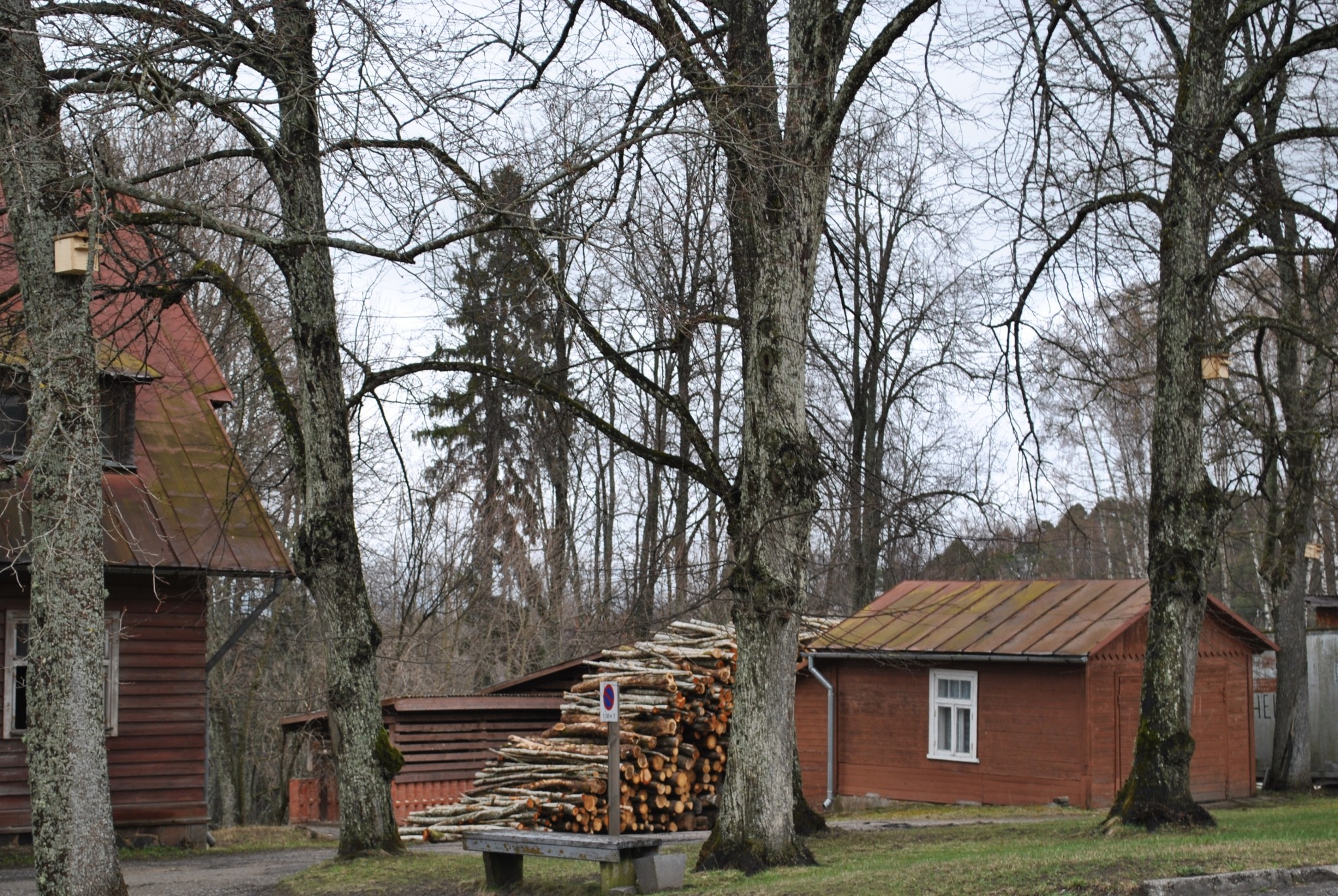 Palsmanes skolu audzēkņi iepriecina slimnīcu