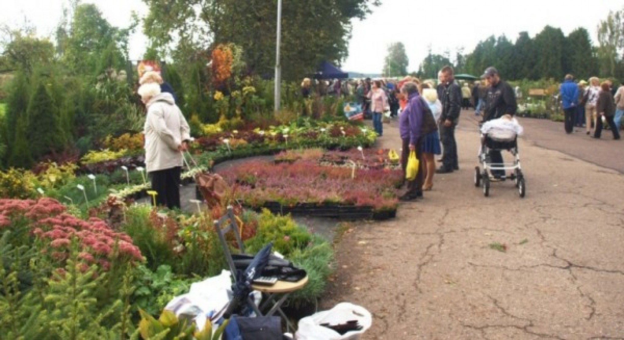 Rudens Stādu parāde 2011