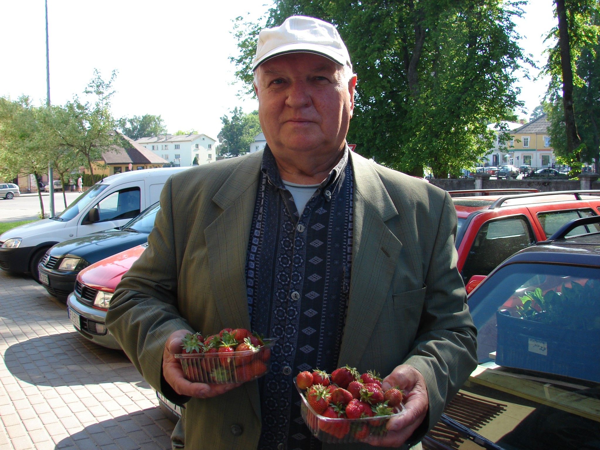 Nobauda pirmās zemenes