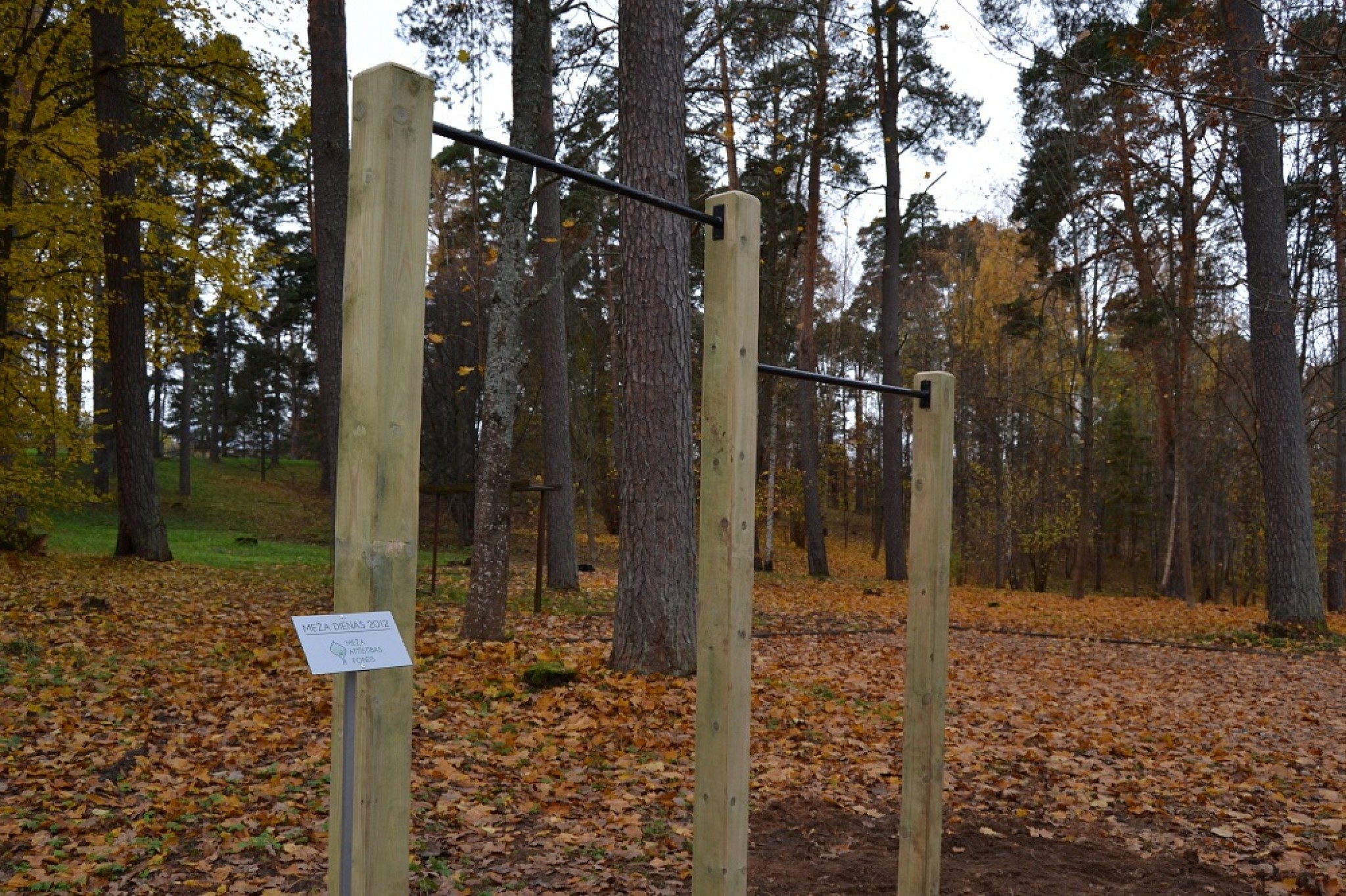 Vecā parka apstādījumi Smiltenē papildināti ar jauniem kokiem un krūmiem