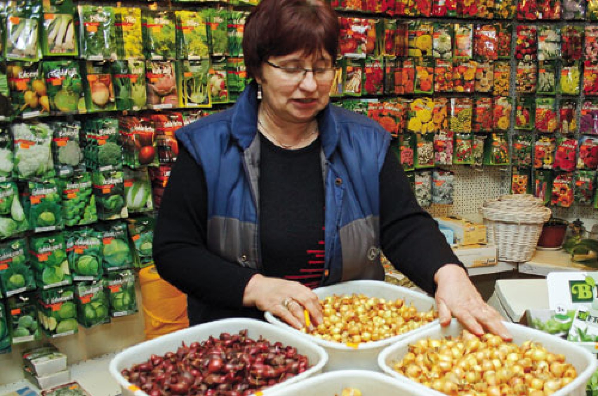 Paprikas, tomāti, petūnijas... ("Dzīvespriekam" 2011.g. februāris)