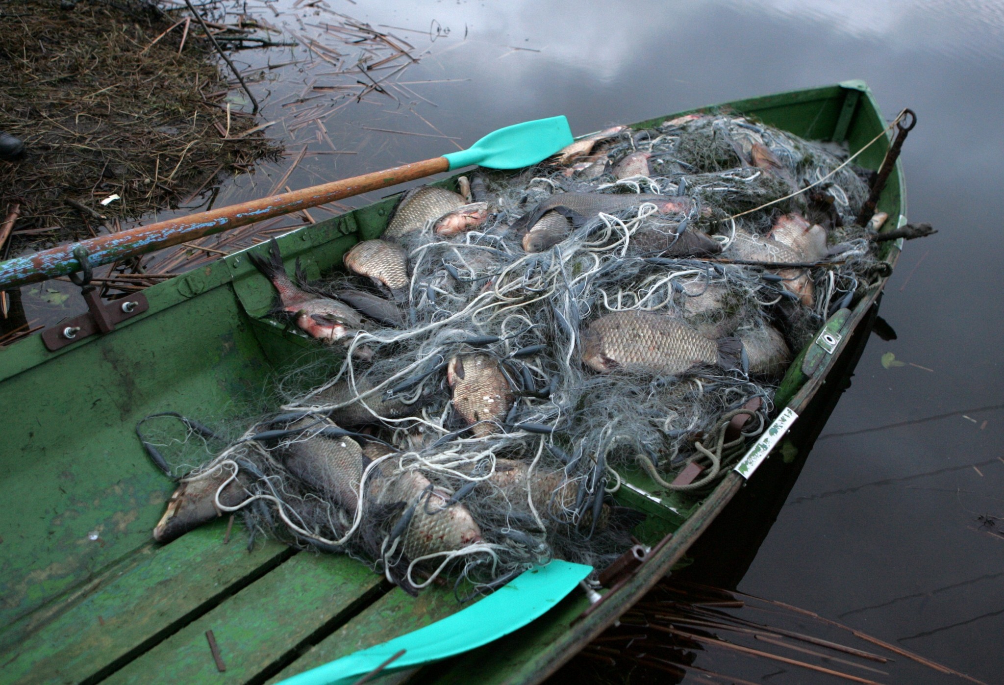:-( Vides sargiem visvairāk darba sarūpē maluzvejnieki 