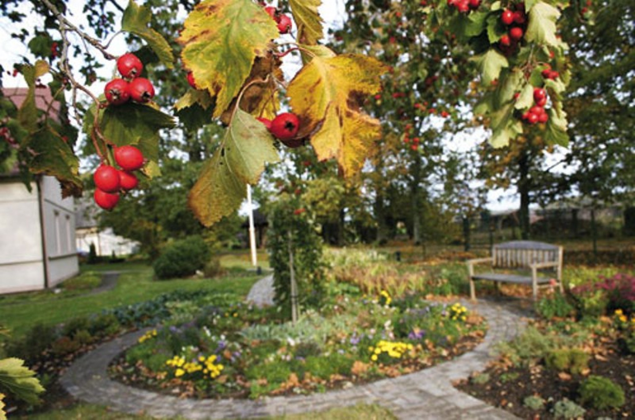 Lai piesalst pirms segšanas ("Dzīvespriekam" 2010.g. novembris)