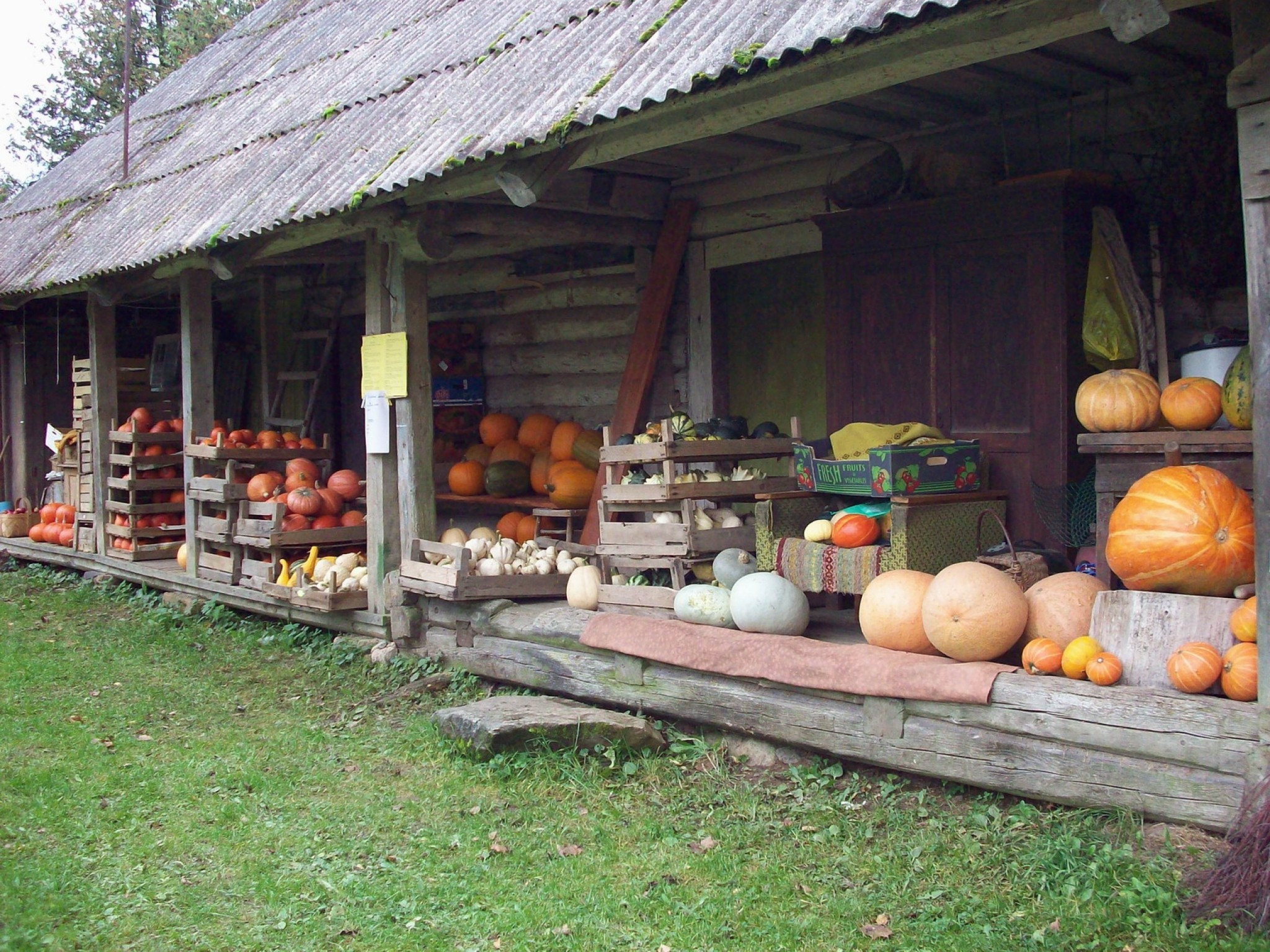 Valmierā skatāma izstāde “Laimīgais ķirbis”