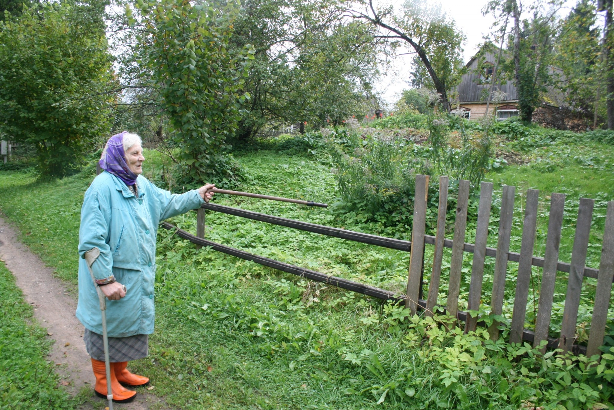 Draudzību ar stirnām var turpināt