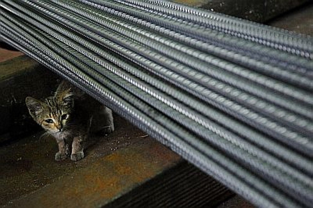 Padziļinātu finanšu analīzi Liepājas metalurgā veiks Ernst & Young Baltic