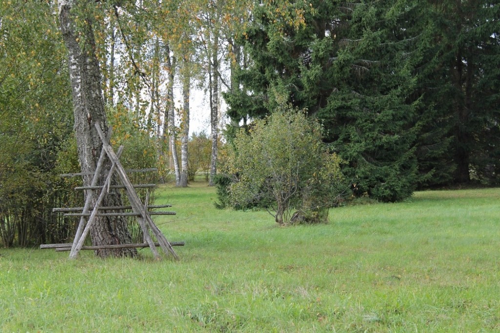 Atgādinām par nekustamā īpašuma nodokļa atvieglojumu saņemšanas iespējām