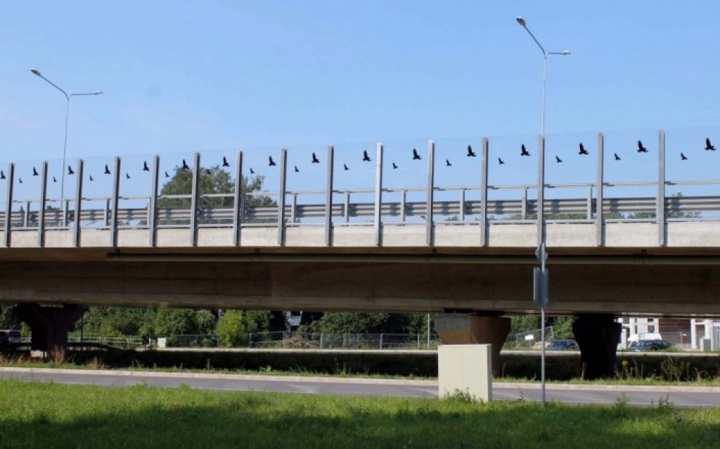 Lai glābtu putnus no bojāejas, uz satiksmes pārvada varētu iestrādāt melnas līnijas