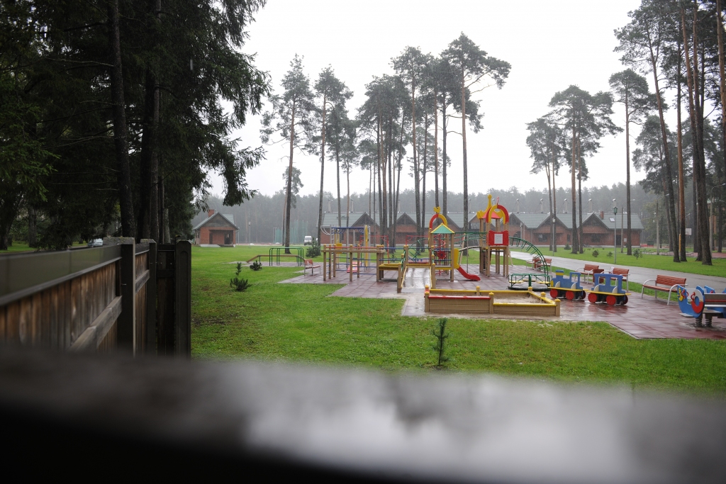 Izcirstie bērzi spokojas tiesu gaiteņos