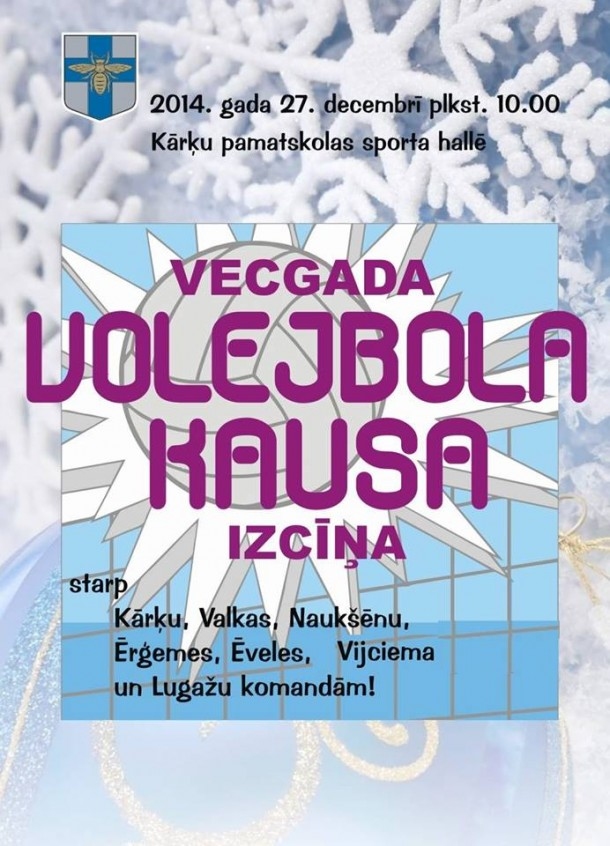 Vecgada volejbola kausa izcīņa