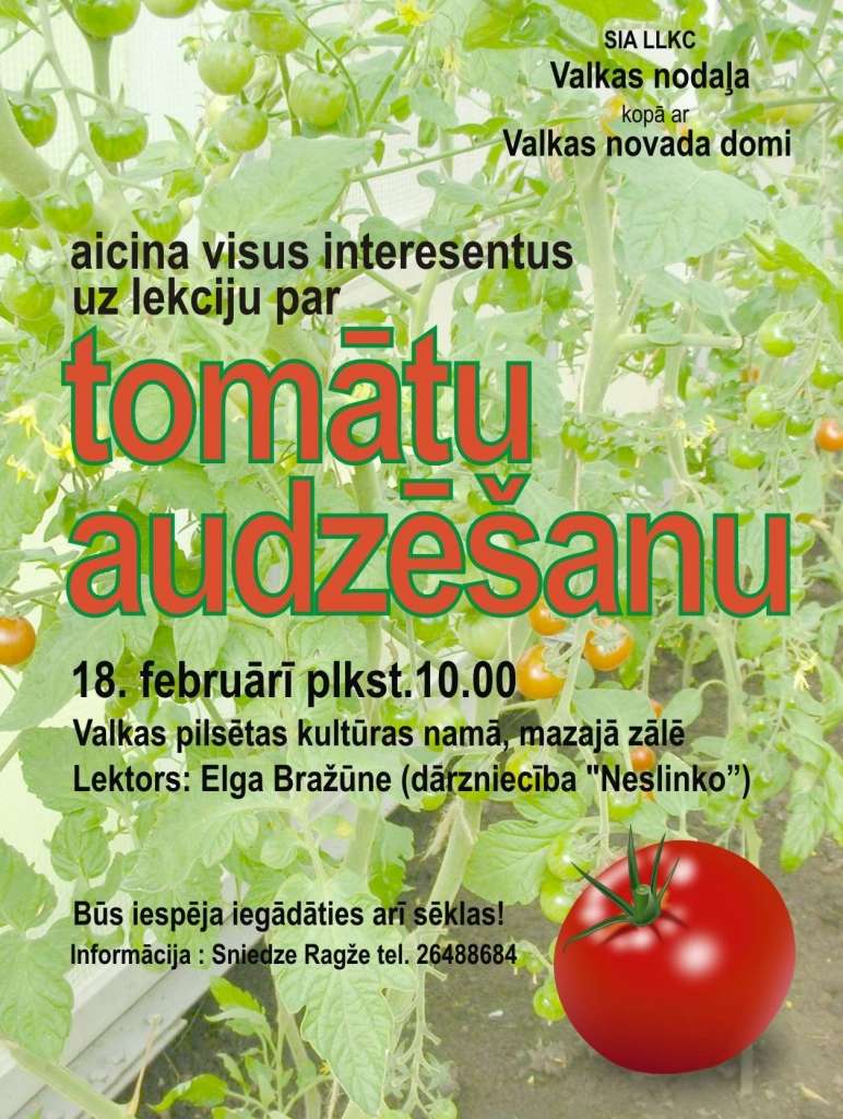 Vēl var paspēt! Tirgošanās notiek! Lekcija par tomātu audzēšanu.